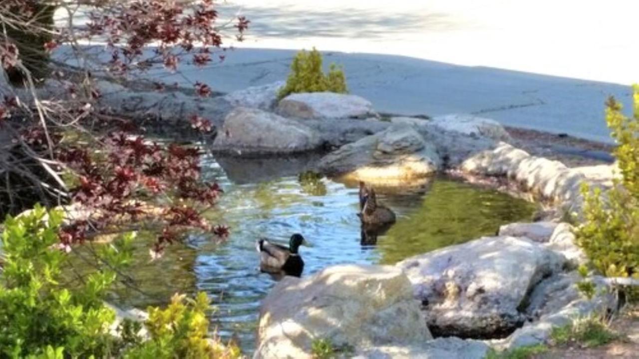North Bay At Lake Arrowhead Blue Jay Eksteriør bilde